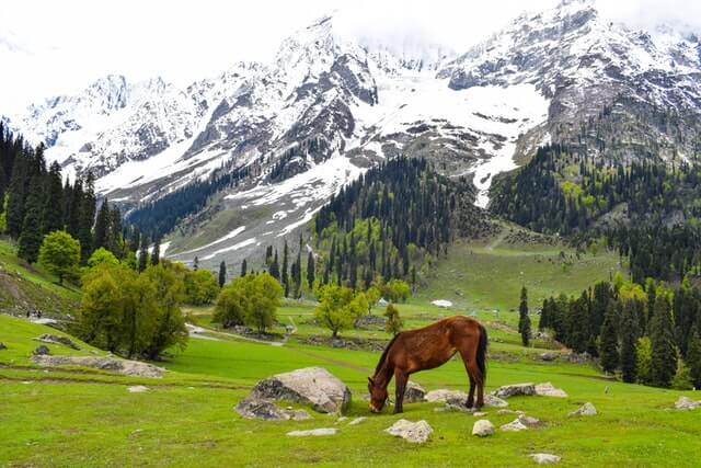 kashmir2
