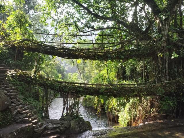 meghalaya2